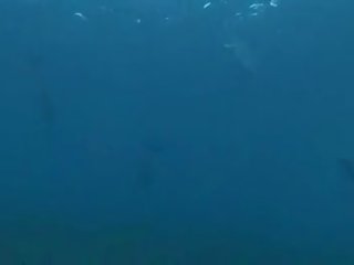 Underwater x rated film